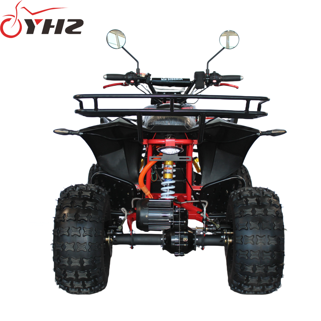 Dune buggy EEC CE approved electric ATV UTV 2000W 4000W off-road 8 inch tire for adult