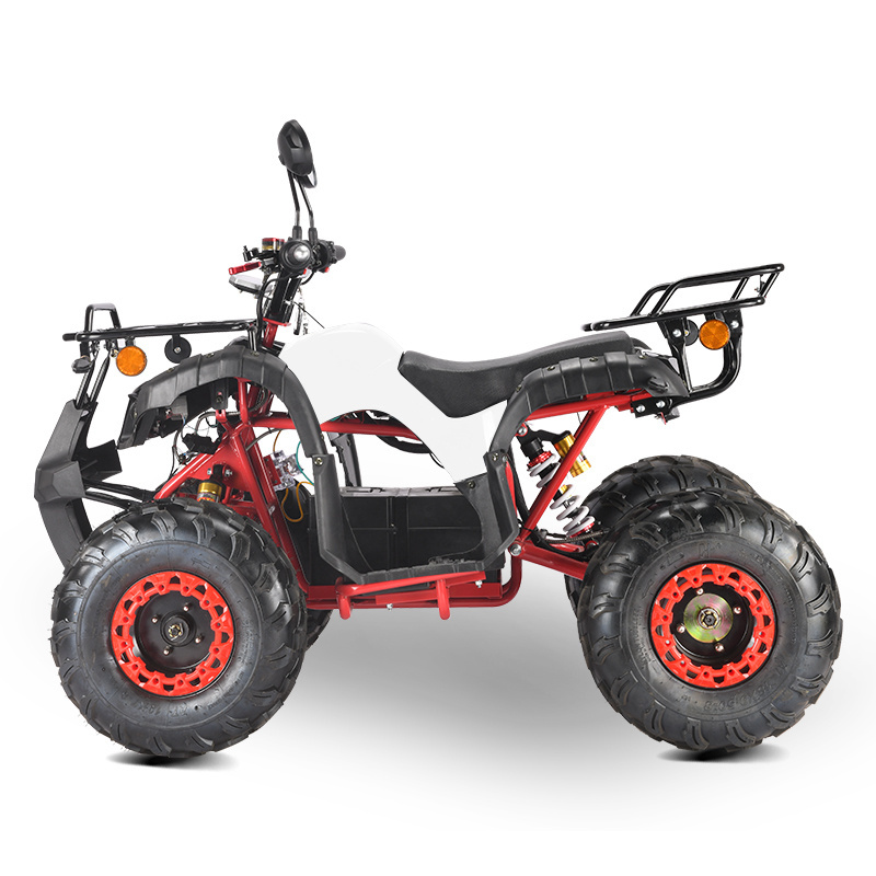 eec coc 2000w 3000w cheap electric moto atv quads for sale