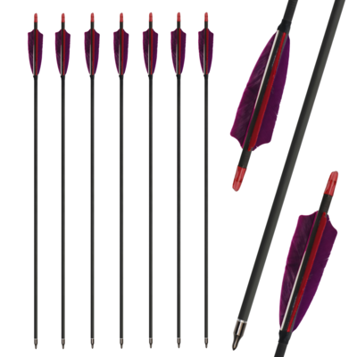 Hunting Pure Carbon Arrow 600 Spine with Arrow Points Real Turkey Feather Replaceable Plastic Nocks for Archery Shooting