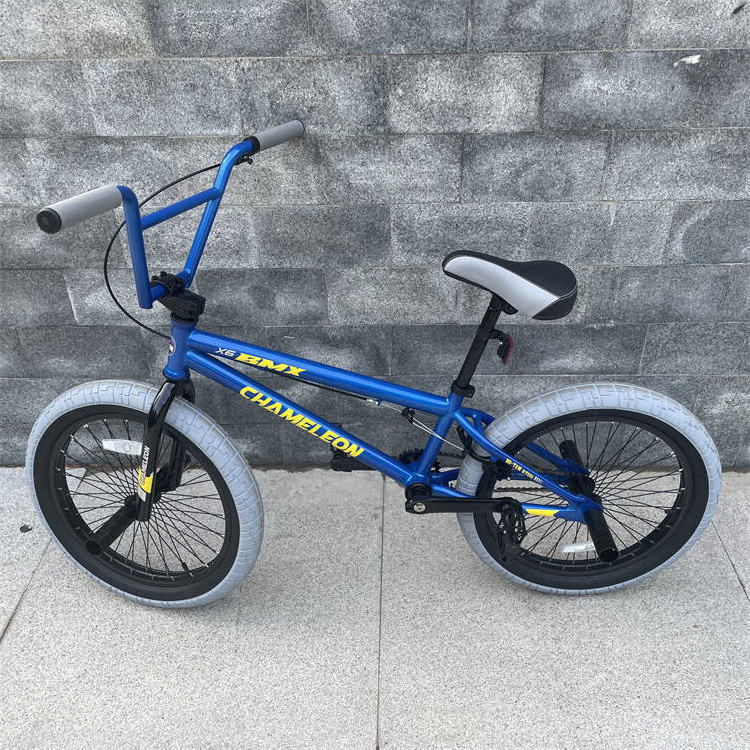 20 Inch Hi-Ten Frame BMX Bike/ Bicicleta/ Dirt Jump BMX