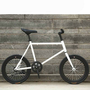 20 inch single speed bike dsic 20 inch bicycle fixie freewheel frame mini bicycle