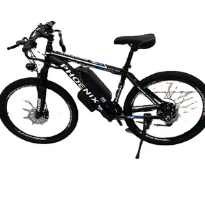 Factory customized new style 26 inch electric mountain bike electric adult bike Men and women ride electric bikes to work