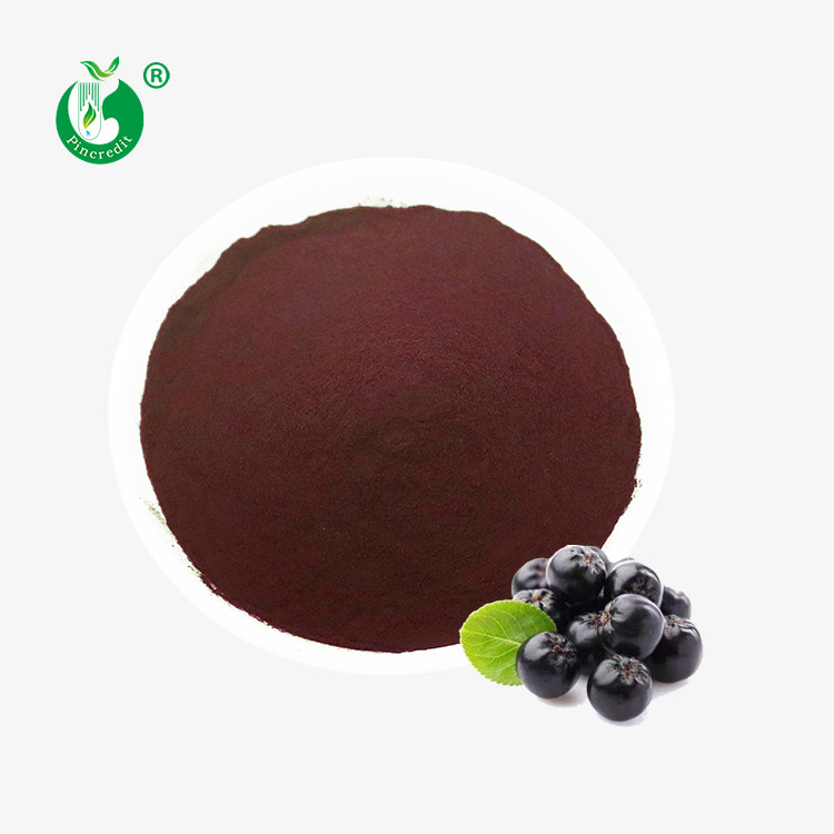 Pincredit Wholesale Price Aronia Berry Powder with Anthocyanin