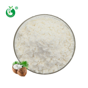 Wholesale Natural Bulk Organic Coconut Cream Milk Powder