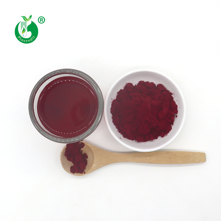 Wholesale Private Label Organic Black Purple Carrot Extract Concentrate Carrot Juice Powder