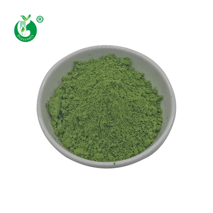 Manufacturer Wholesale Pure Organic Pandan Leaf Powder