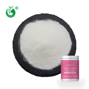 OEM Private Label Wholesale Food and Cosmetic Grade Hydrolyzed Marine Fish Collagen Peptide Powder