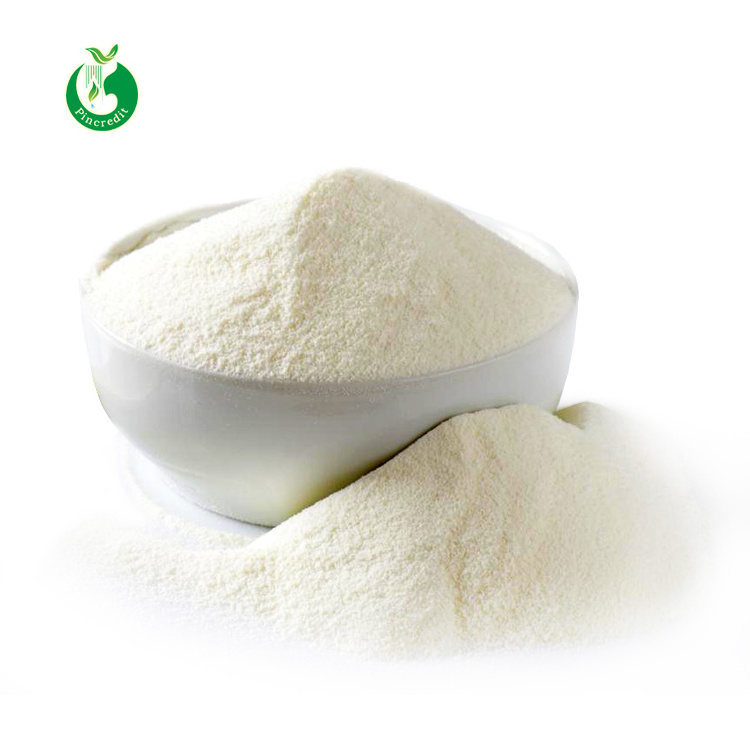 Low Price Organic Coconut Protein Powder