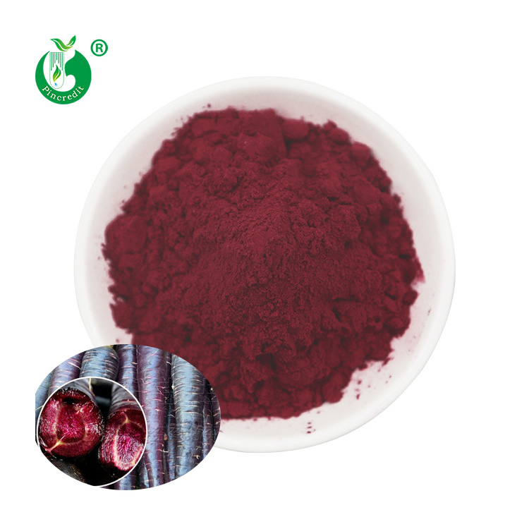 Wholesale Private Label Organic Black Purple Carrot Extract Concentrate Carrot Juice Powder