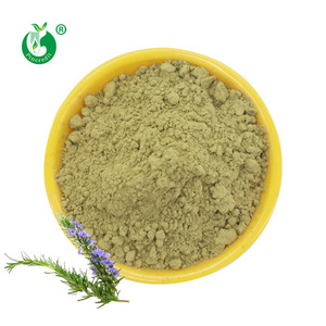 Pincredit Supply Natural Bulk Rosemary Leaf Extract Powder 20% Carnosic Acid