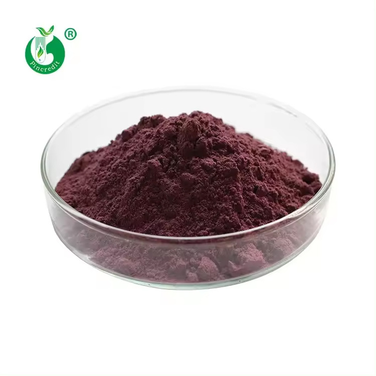 Manufacturer Wholesale Food Grade Natural Proanthocyanidin 95% OPC Grape Seed Extract