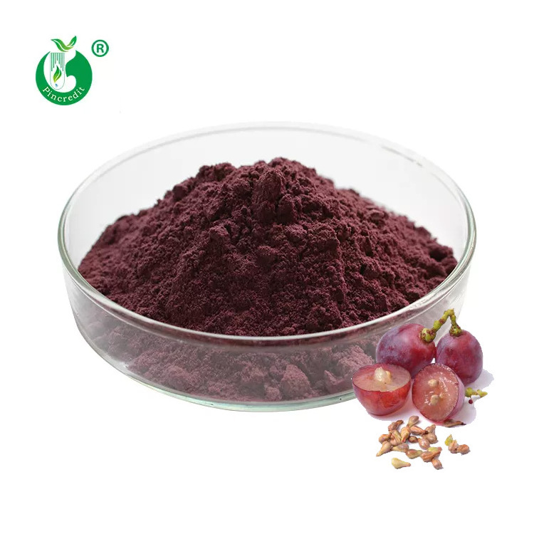 Manufacturer Wholesale Food Grade Natural Proanthocyanidin 95% OPC Grape Seed Extract