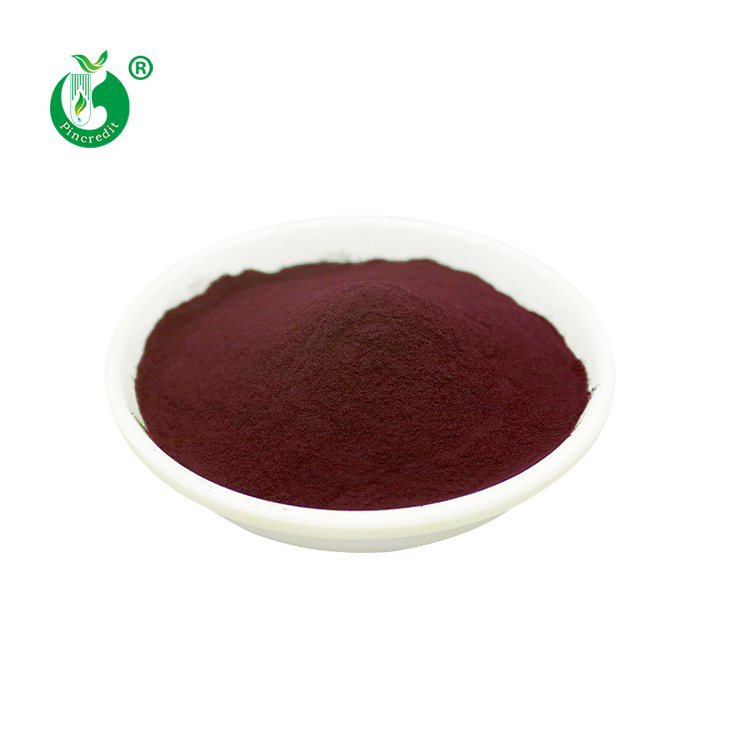 Pincredit Wholesale Price Aronia Berry Powder with Anthocyanin