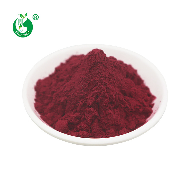 Wholesale Private Label Organic Black Purple Carrot Extract Concentrate Carrot Juice Powder