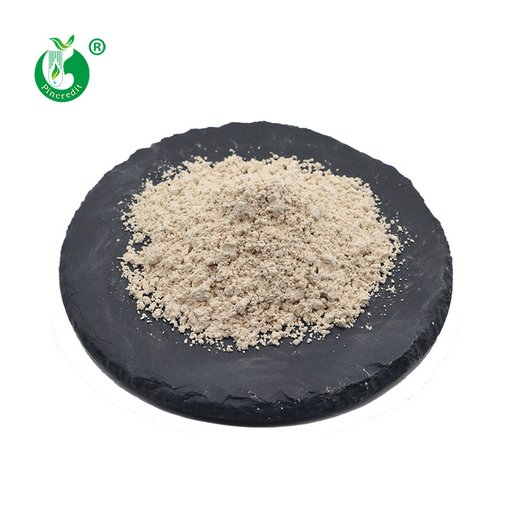 Manufacturer Wholesale Price Natural Sophora Japonica Pod Extract 98% Genistein Powder