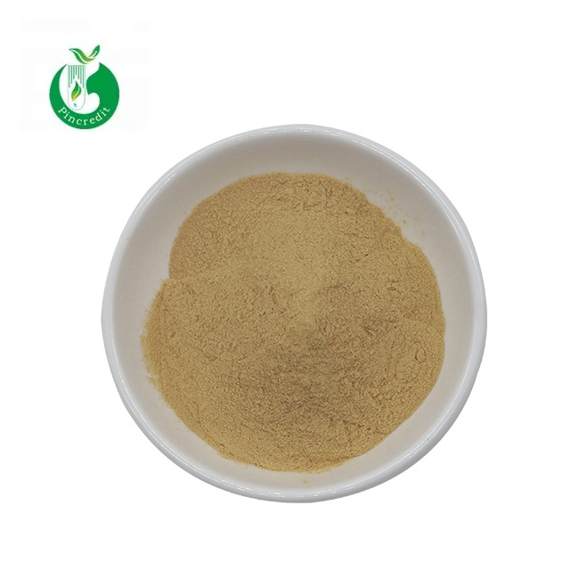 Pincredit Supply Best Price Flavonoids Bamboo Leaf Extract