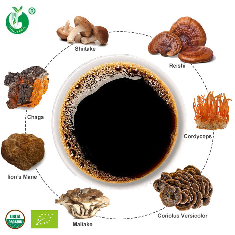 Private Label Coffee Drink Organic Cordyceps Militaris/Mitake/Turkey Tail/Reishi/Chaga/Shiitake/Lions Mane Mushroom Powder