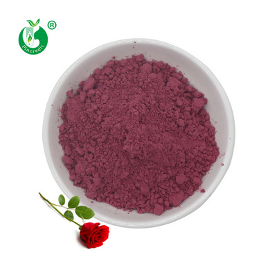 Pincredit Supply Rose Extract Powder Bulk Organic Rose Flower Petal Powder