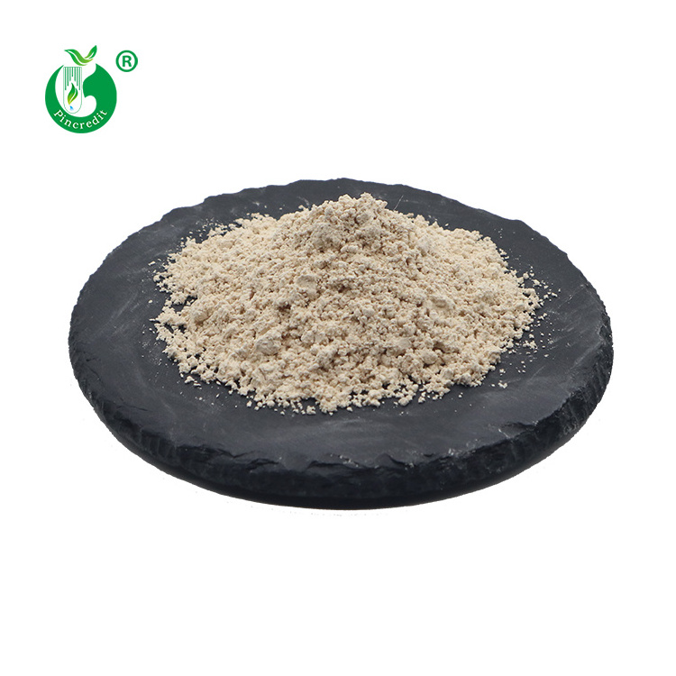 Manufacturer Wholesale Price Natural Sophora Japonica Pod Extract 98% Genistein Powder