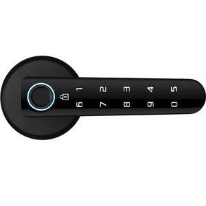 Smart Wireless Bluetooth Interior Door Biometric Fingerprint Password Code Lock with Door Handle with WIFI gateway optional