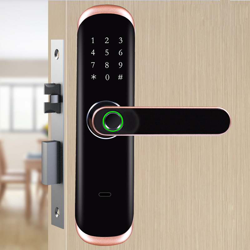 Tuya WiFi Touch Screen Smart Door Keyless Entry Door Lock with fingerprint rfid card code and keys