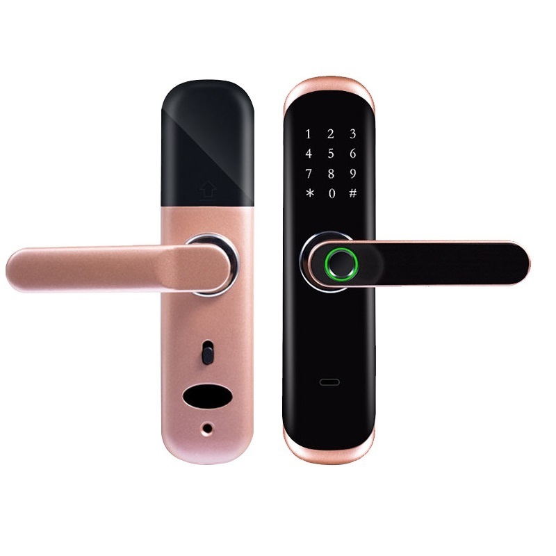 TTLock Tuya Electronic Security Smart BLE App WiFi Digital Code IC Card Biometric Fingerprint Door Lock for Home Apartment