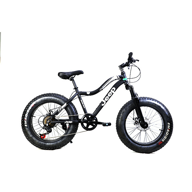 Factory Cheap Price 20 Inch Customized Snow Mountain Bike Fat Tire Bike