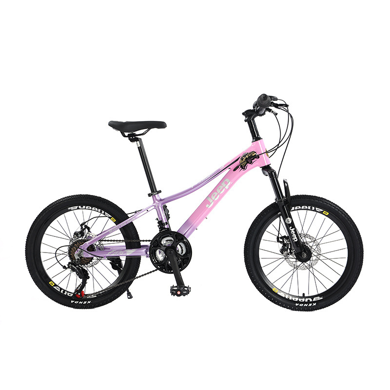 New Product 20 Inch Kids Bike For 5 To 12 Years Boy And Girl Baby 21 Speed Alloy Frame Children Bicycle