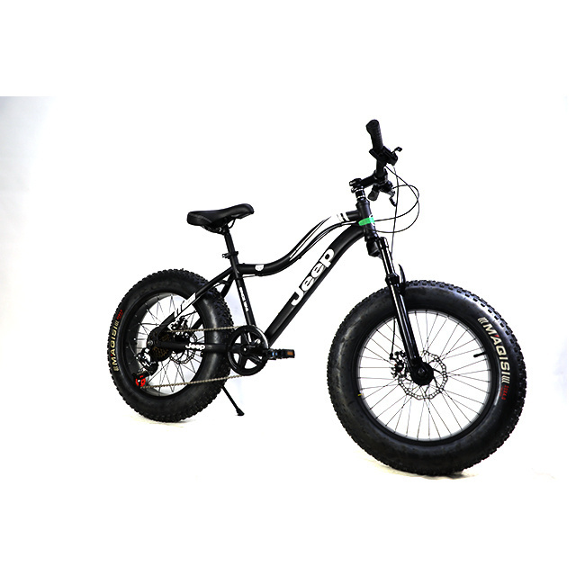 Factory Cheap Price 20 Inch Customized Snow Mountain Bike Fat Tire Bike