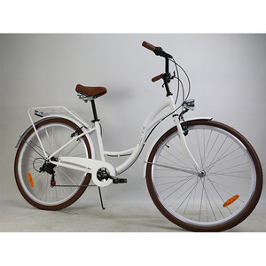 OEM ODM Cheap city bicycle two wheel men women classics city bike