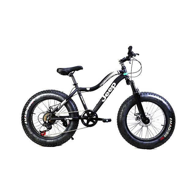 Factory Cheap Price 20 Inch Customized Snow Mountain Bike Fat Tire Bike