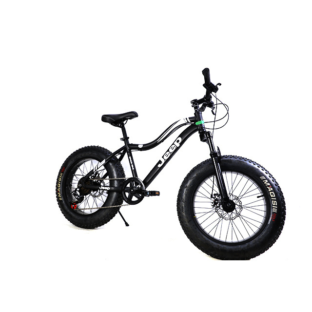 Factory Cheap Price 20 Inch Customized Snow Mountain Bike Fat Tire Bike