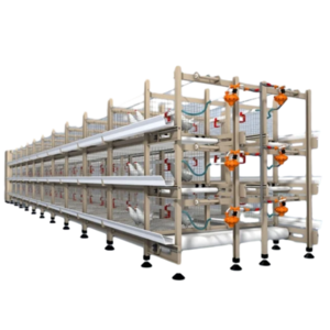 Modern Automatic Broiler Chicken Farming Equipment H Type Poultry Broiler Cage for Nigeria