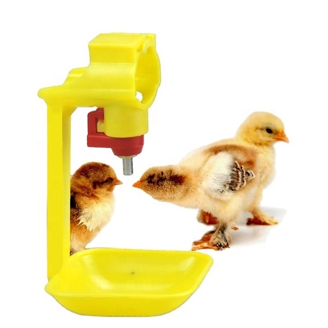 poultry farming equipment pollos de engorde cage poulet live chicken broiler Chickens Watering System