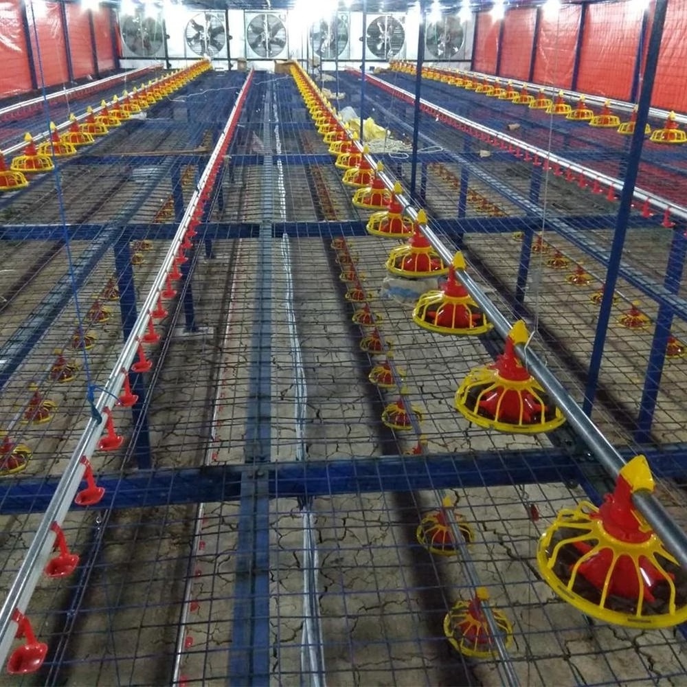 Automatic Floor Raising Deep Litter System Poultry Farming Broiler Feeding Equipment Poultry Feeder Pans Raising Chicken