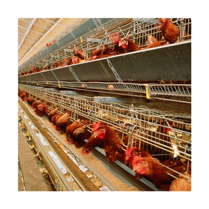 Factory supply a type battery cage for poultry layers/chicken laying egg cages/bamboo chicken coop