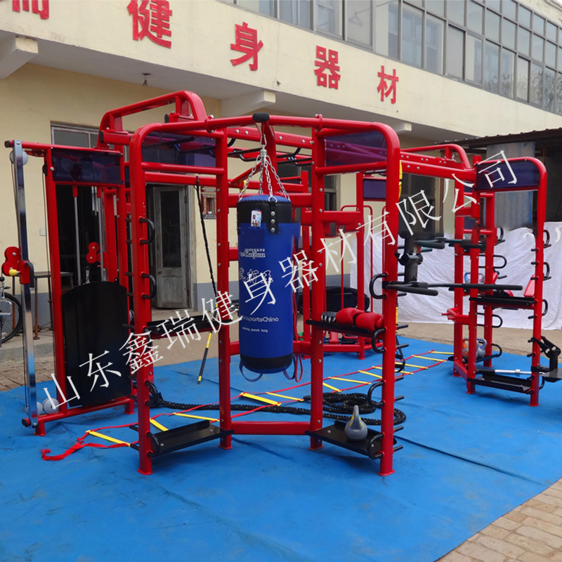 Factory Directly Selling Multi Function Trainer Synergy 360 Fitness Equipment For Gym