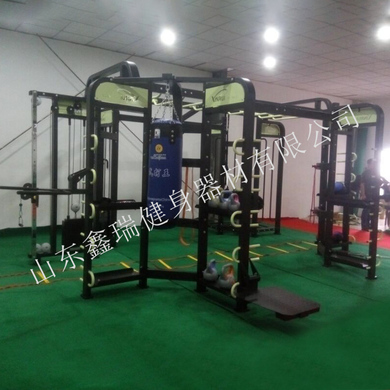 Factory Directly Selling Multi Function Trainer Synergy 360 Fitness Equipment For Gym