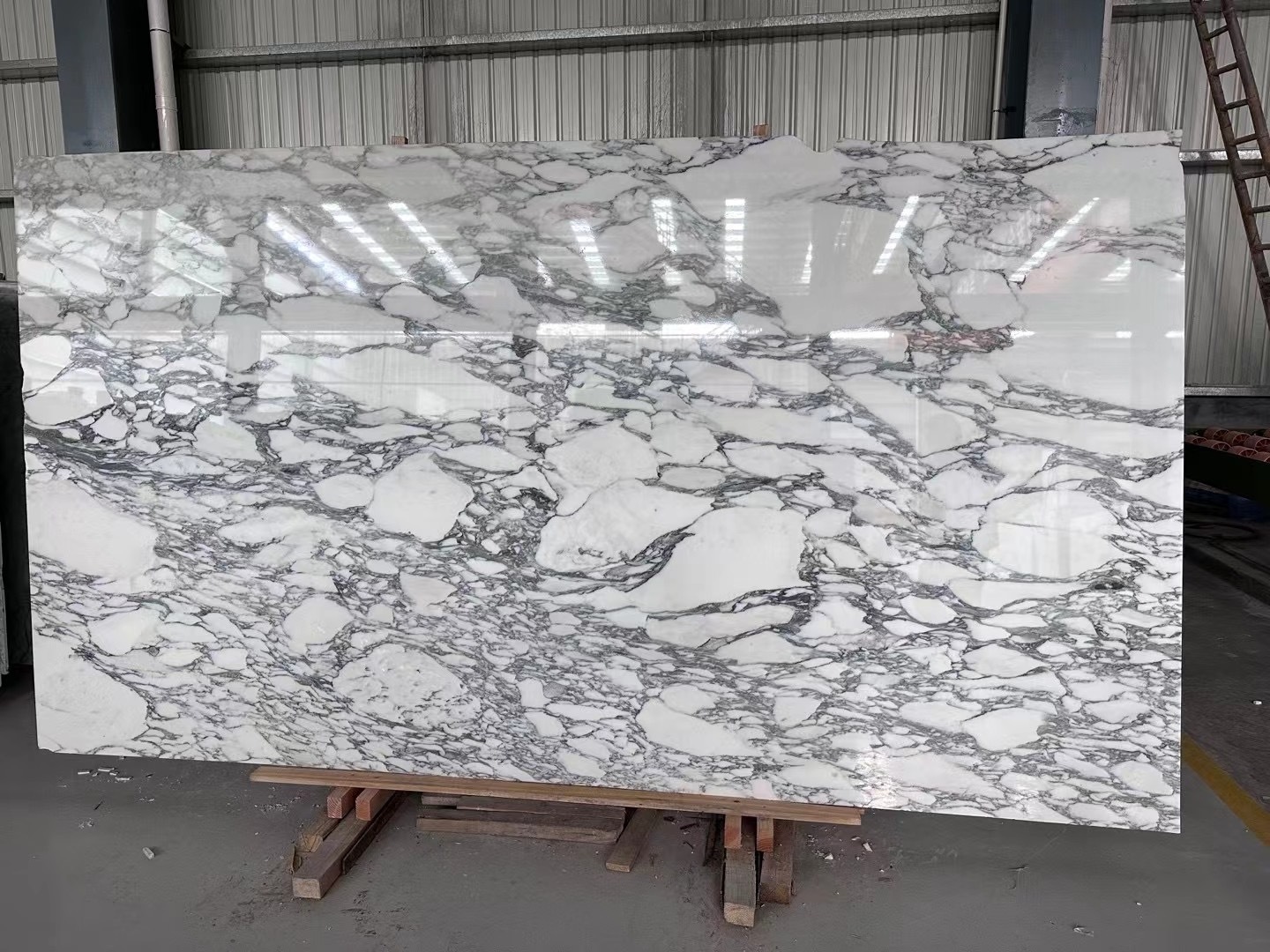 Arabescato White Marble Stone Slabs for Wall and Floor Covering