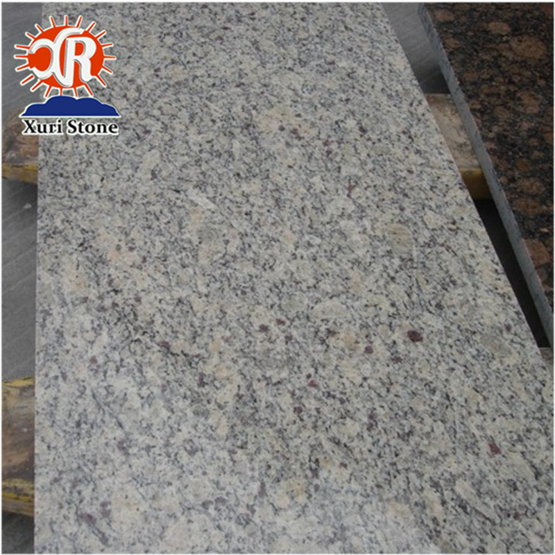 Santa Cecilia Light Granite Kitchen Countertop