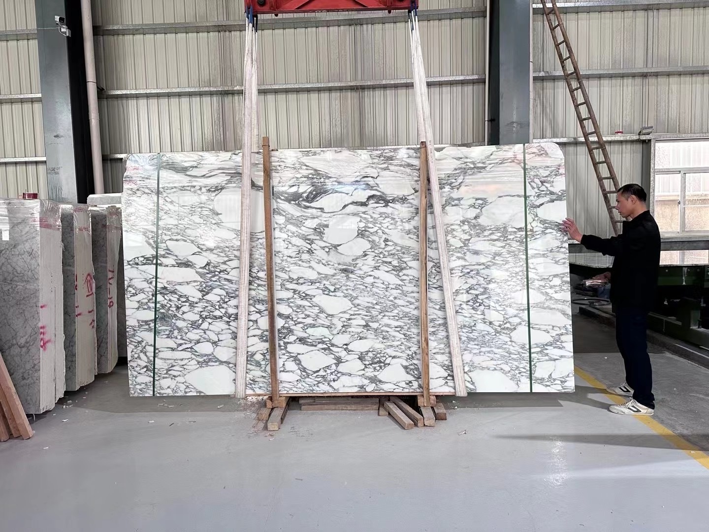 Arabescato White Marble Stone Slabs for Wall and Floor Covering