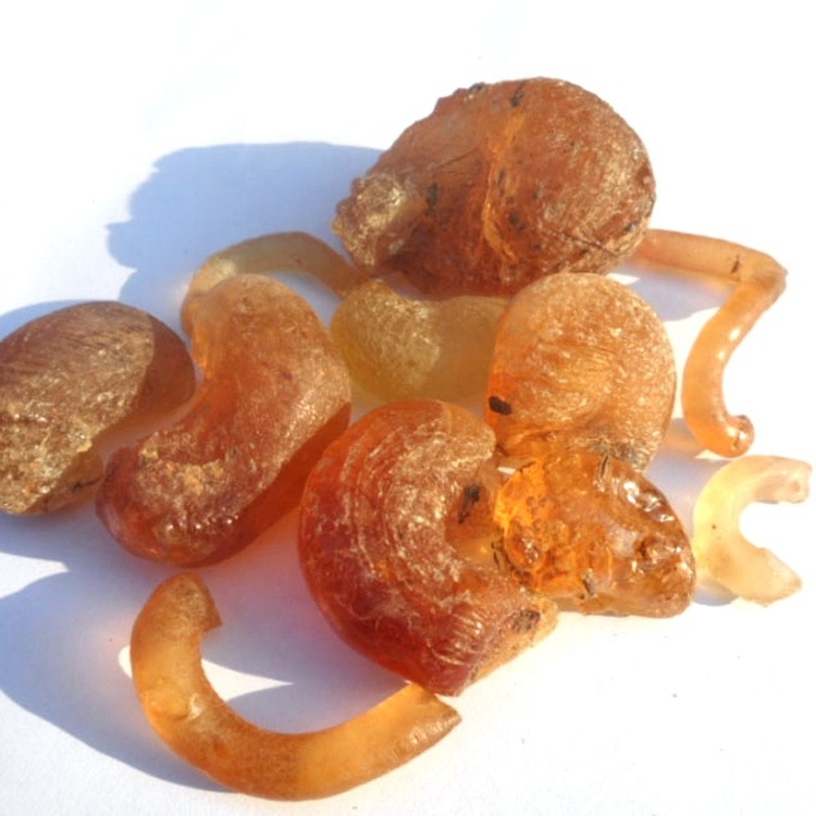 High quality hashab gum arabic with low price