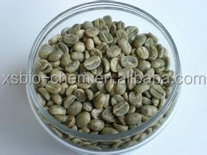 High Quality GMP standard Natural  Chlorogenic acid Coffea Arabica Extract Green Coffee Bean Extract