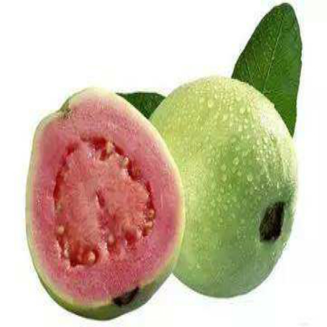 GMP standard Natural Fruit Powder Guava Flavor Guava Powder