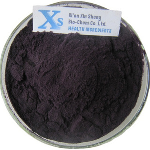 High Quality GMP standard Natural Fruit Powder Black Raspberry Extract Black Raspberry Powder