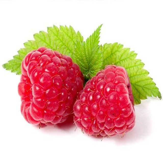 High Quality GMP standard Natural Fruit Powder Black Raspberry Extract Black Raspberry Powder