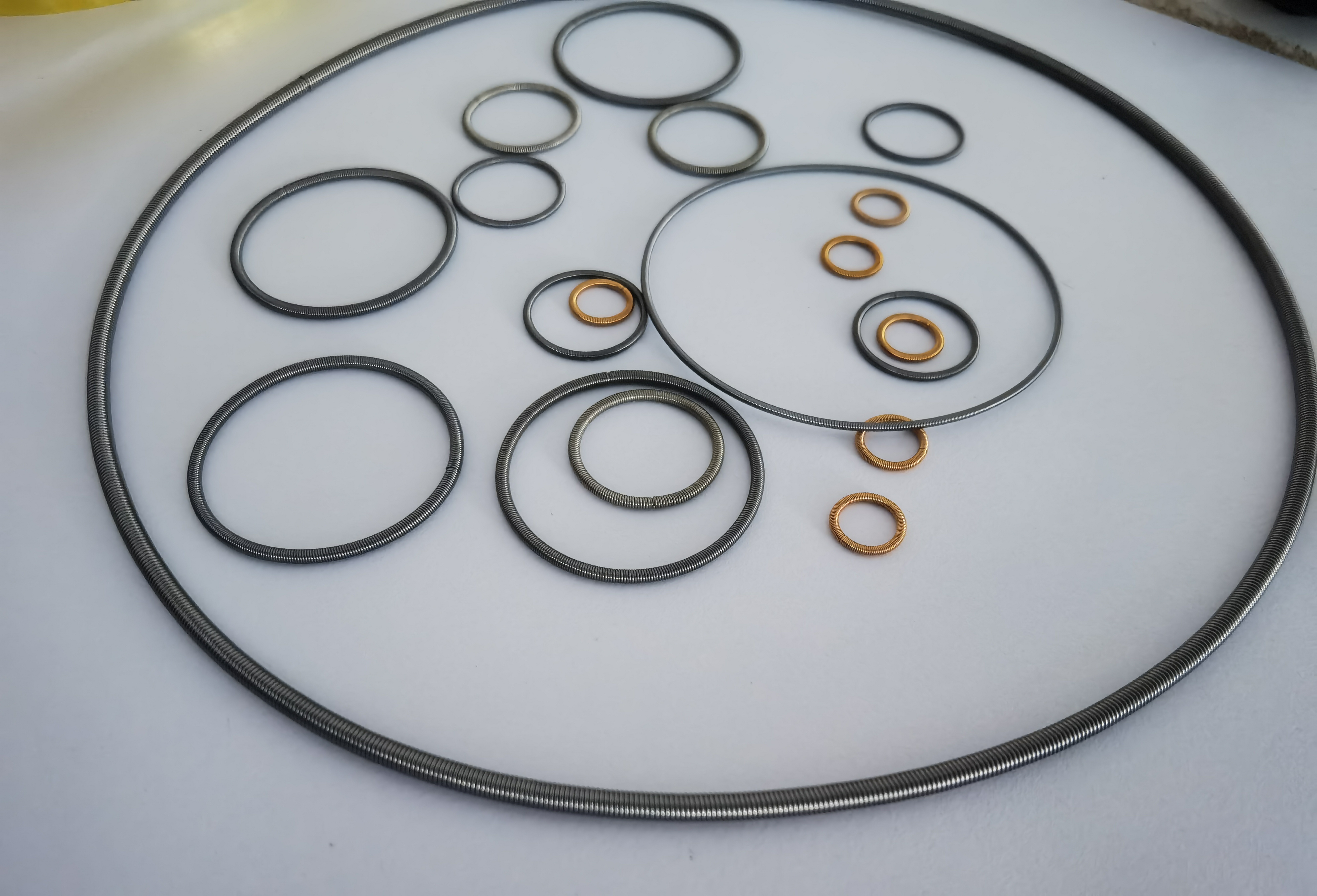 Canted coil spring precision O ring circular shape spring stainless steel sus316 interlock garter spring for oil seals