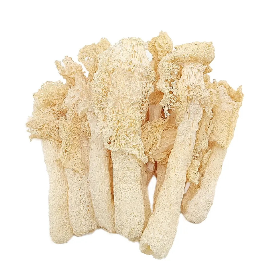 Quality Dried Bamboo Dictyophora With Haccp Certification Oem