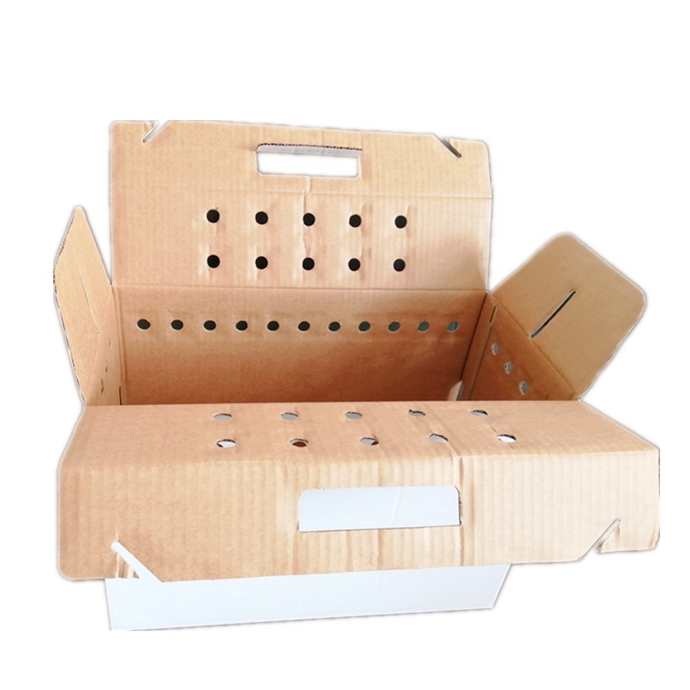 Wholesale pet cat dog carrier ventilated holes corrugated cardboard boxes with cut out handle design