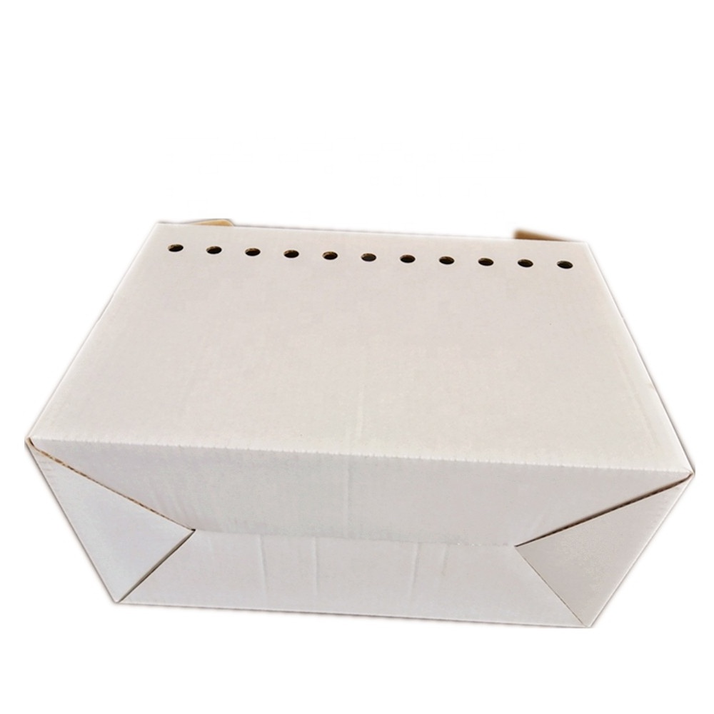 Wholesale pet cat dog carrier ventilated holes corrugated cardboard boxes with cut out handle design